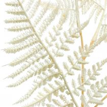 Dekorativ bladbregne, kunstig plante, bregnegren, dekorativt bregneblad hvid L59cm