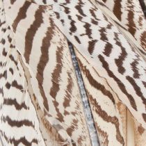 Artikel Fasan fjer til håndværk brun beige natur 20cm 20stk