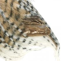 Artikel Skovugle, efterårsdekoration, dekorativ ugle, Halloween H16cm