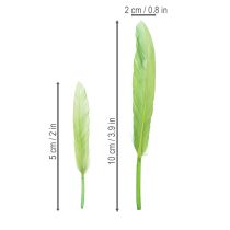 Artikel Dekorative fjer til en stilfuld atmosfære og imponerende dekorationer 10 cm