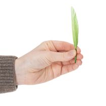 Artikel Dekorative fjer til en stilfuld atmosfære og imponerende dekorationer 10 cm