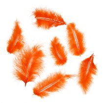 Artikel Fjer korte 30g Orange