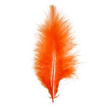 Artikel Fjer korte 30g Orange