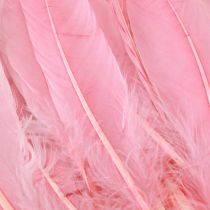 Artikel Fjer til håndværk Pink gåsefjer 18cm - 20cm 20g x 2stk