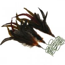 Artikel Farverig fjer dekoration på tråd fjeder fjeder dekoration H35cm 3stk