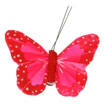 Fjer sommerfugle på klip flerfarvet 7cm 12stk
