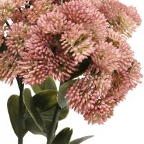 Stonecrop pink sedum stenurt kunstige blomster H48cm 4stk