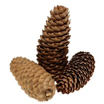 Artikel Grankogler naturlige 5kg kogler