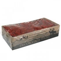 Artikel Dekorativ mosrød Siena naturmos til håndværk Tørret, farvet 500 g