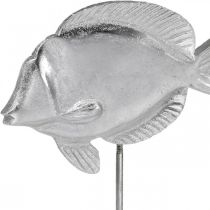 Fisk at placere, maritim dekoration, dekorative fisk lavet af metal sølv, naturlige farver H23cm