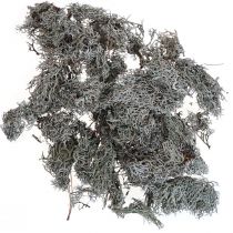 Lav lav mos træ mos deco mos natur 1kg