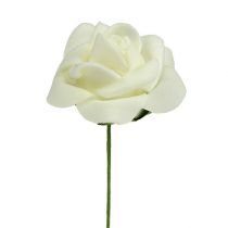 Artikel Skumrose Ø4,5cm Creme 36 stk