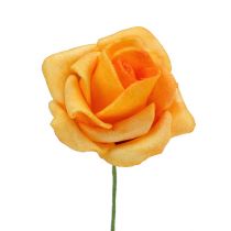 Skumrose Ø 3,5cm abrikos 48p