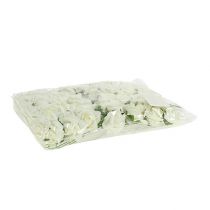 Artikel Skumrose Ø3,5cm Creme 48 stk