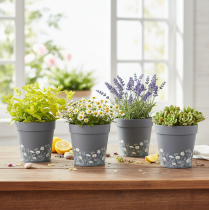 Artikel Urtepotte med blomstermønster til moderne hjem og sommerdekoration på balkonen, 13 cm, 4 stk.