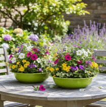 Artikel Plantebakke til flot plantedekoration i stuen, 29 cm, 2 stk.