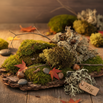 Artikel Dekorativ mos til hobbybrug, blandet grøn og lysegrøn naturlig mos, 75 g