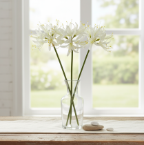 Artikel Nerine Guernsey Lily Kunstig Blomst Hvid Gul Ø15cm L65cm