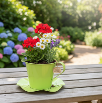 Artikel Dekorativ tekop metal med tallerken lysegrøn Ø12 H10cm 8 stk