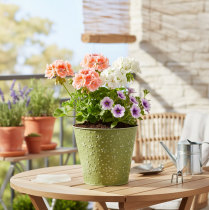 Artikel Metal urtepotte, plantekasse, stjerner, grøn og sølv, Ø16 cm