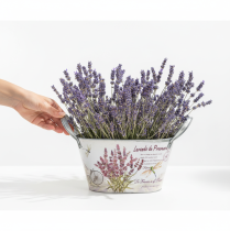 Artikel Oval metalblomsterskål med håndtag, lavendel, 26×13×14,5 cm