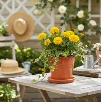 Artikel Dekorativ metalspand/plantekrukke, orangebrun, Ø16 cm, H14,5 cm, 1,6 l