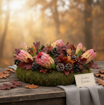 Artikel Compacta Pink 25 stk