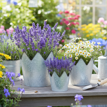 Artikel Plantekrone metal dekorativ zink Ø21,5/19,5/17cm sæt med 3