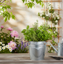 Artikel Dekorativ spandblomsterpotte i metal med rebhåndtag Ø20 cm