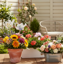 Artikel Vandkandepæle til blomsterbuketter og balkonblomsterdekoration, 34 cm, 12 stk.