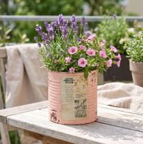Artikel Blomsterpotte dekorativ dåse laksefarvet metal sommerdekoration Ø11cm H10,5cm