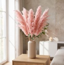 Artikel Tørret Pampasgræs Pink 65-75cm Tørrede Blomsterdekorationer 6 stk.