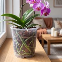 Artikel Plantepotte til orkideer transparent Ø15cm 10 stk.