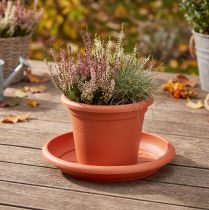 Artikel Coaster “Linda” Ø30cm terracotta