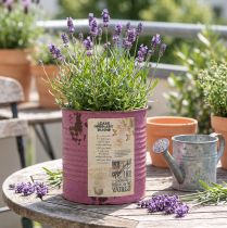 Artikel Vintage blomsterkasse lilla metal sommerdekoration Ø11 cm H10,5 cm