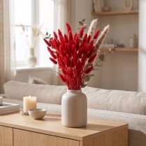Artikel Dekorativt græs rødt, Lagurus, fløjlsgræs, tørrede blomsterarrangementer L20-50cm 25g