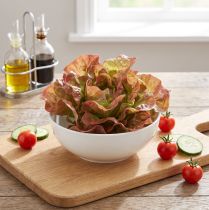 Artikel Kunstsalat Lollo Rosso dekorativt salathoved Ø20cm
