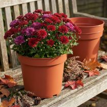 Artikel Plantepotte plast Ø23cm 10stk