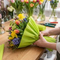 Artikel Florist crepe papir maj grøn 50x250cm