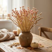 Artikel Italienske stråblomst kunstige blomster Pink L28cm