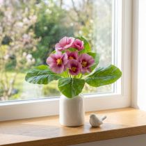 Artikel Primroser Kunstige Blomster Cowslips Pink H25cm