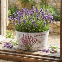 Artikel Plantekasse lavendel plast blomsterskål rund Ø21cm H11cm