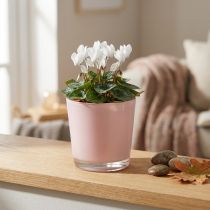 Artikel Blomsterpotte i glas, lyserød, glasspand, Ø10 cm, H8,5 cm