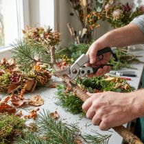 Artikel Sekatører, blomsterhandlersakse, rosensakse