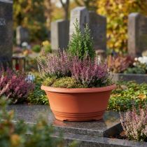 Artikel Plastik planteskål Ø20cm blomsterskål terrakotta 5 stk.