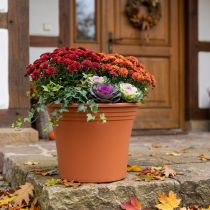 Artikel Potte “Irys” plast terracotta Ø43cm H35cm 1 stk