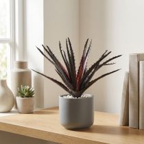 Artikel Aloe Vera kunstlilla 26cm