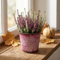 Artikel Dekorativ potte til udplantning, blikspand, metaldekoration med bladmønster vinrød Ø14cm H12,5cm