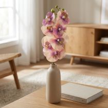 Artikel Orchid Phalaenopsis kunstig 7 blomster lilla creme 73cm