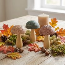 Artikel Træsvampe dekorative svampe efterårsdekoration træ assorteret 11×7,5cm 3 stk.